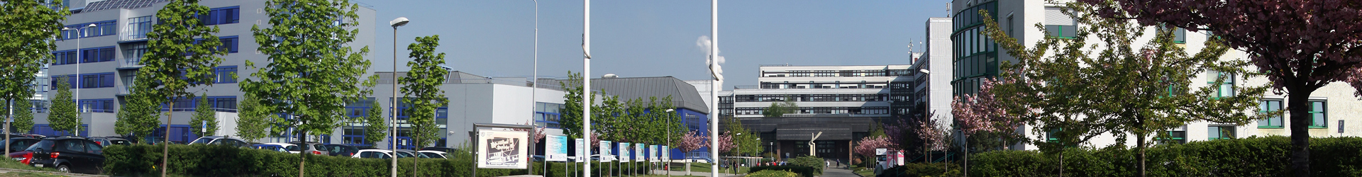 Mezinárodní letní jazyková škola