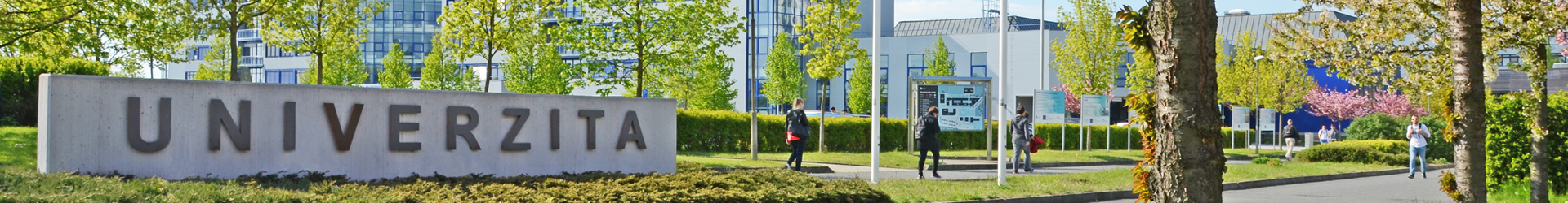 Mezinárodní letní jazyková škola